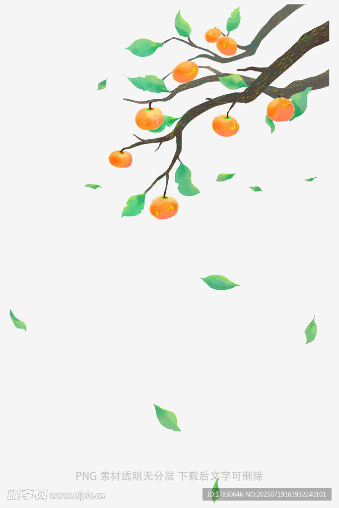 柿子