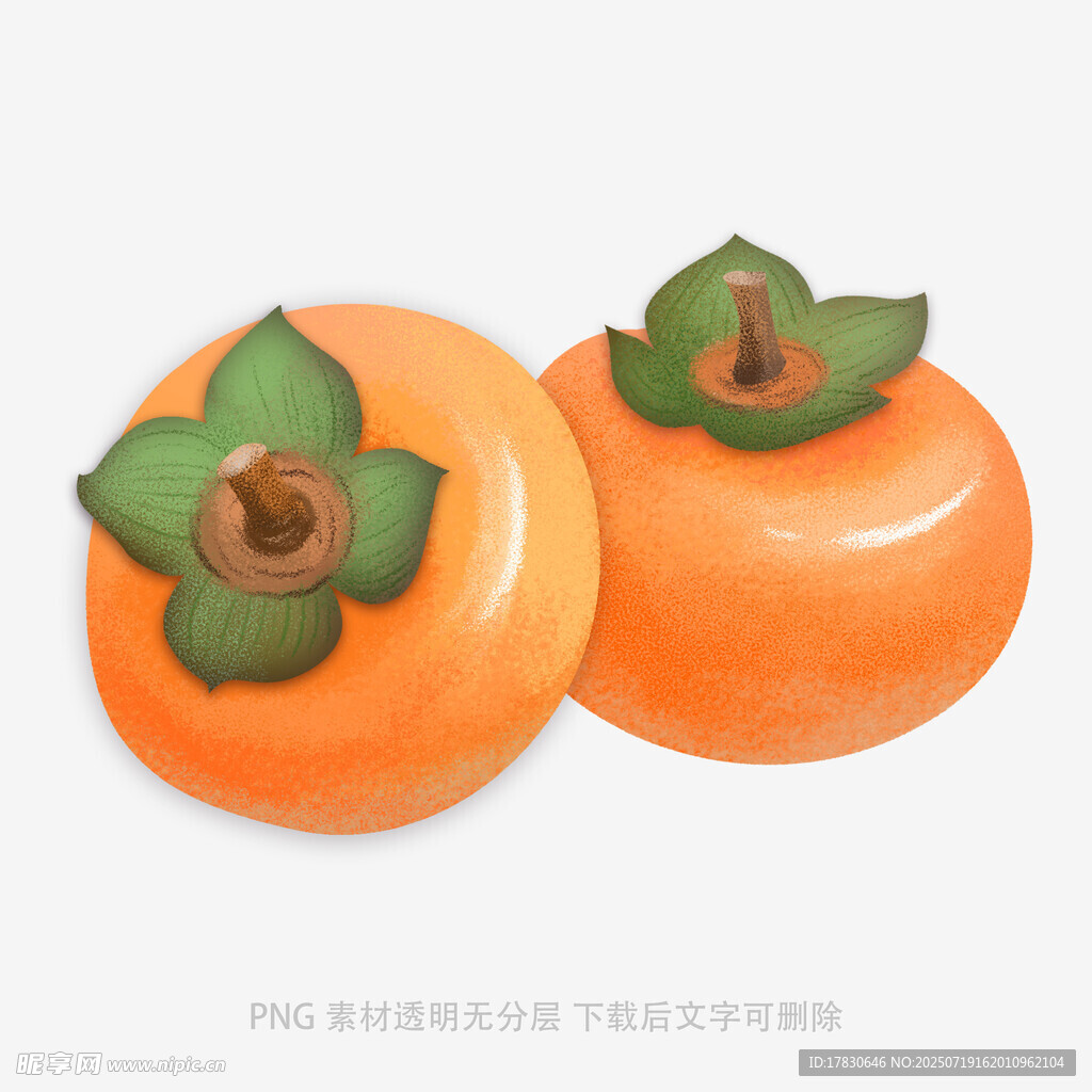 两个可爱柿子插画