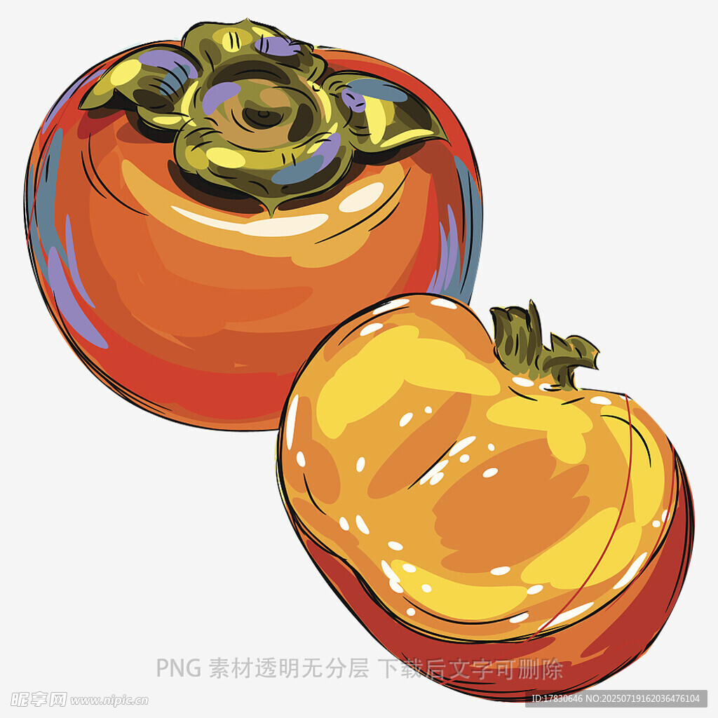 手绘柿子插画