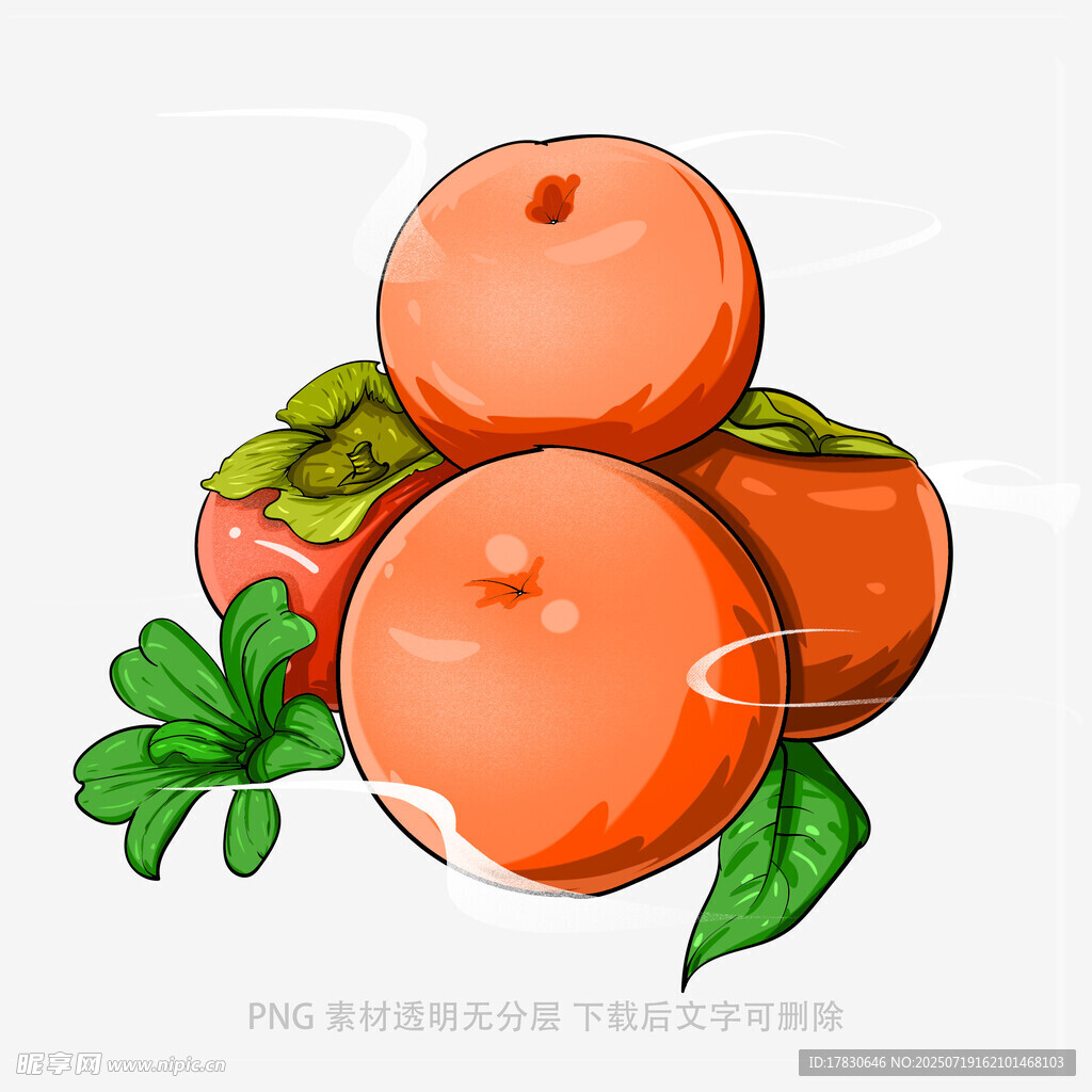 三个鲜橙带绿叶插画