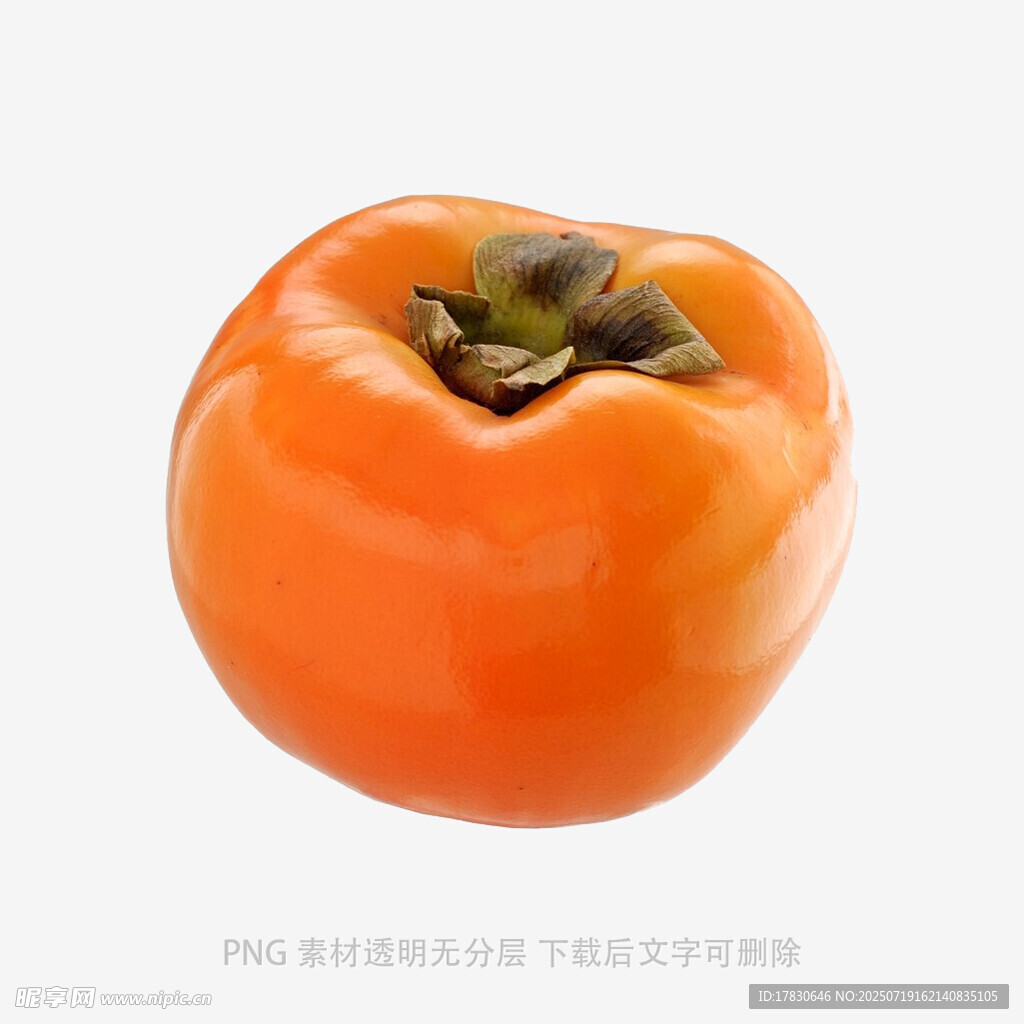 圆润橙柿