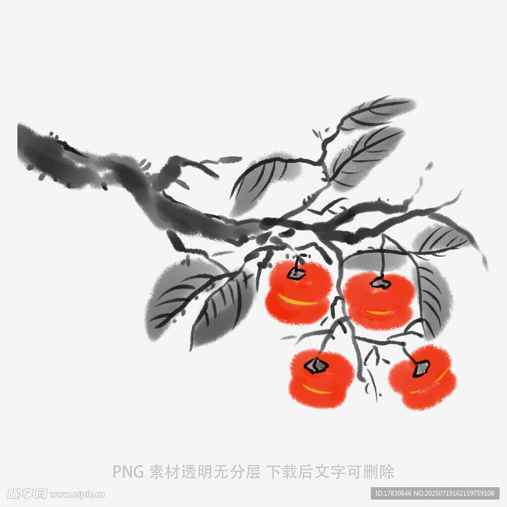 水墨枝头红柿图