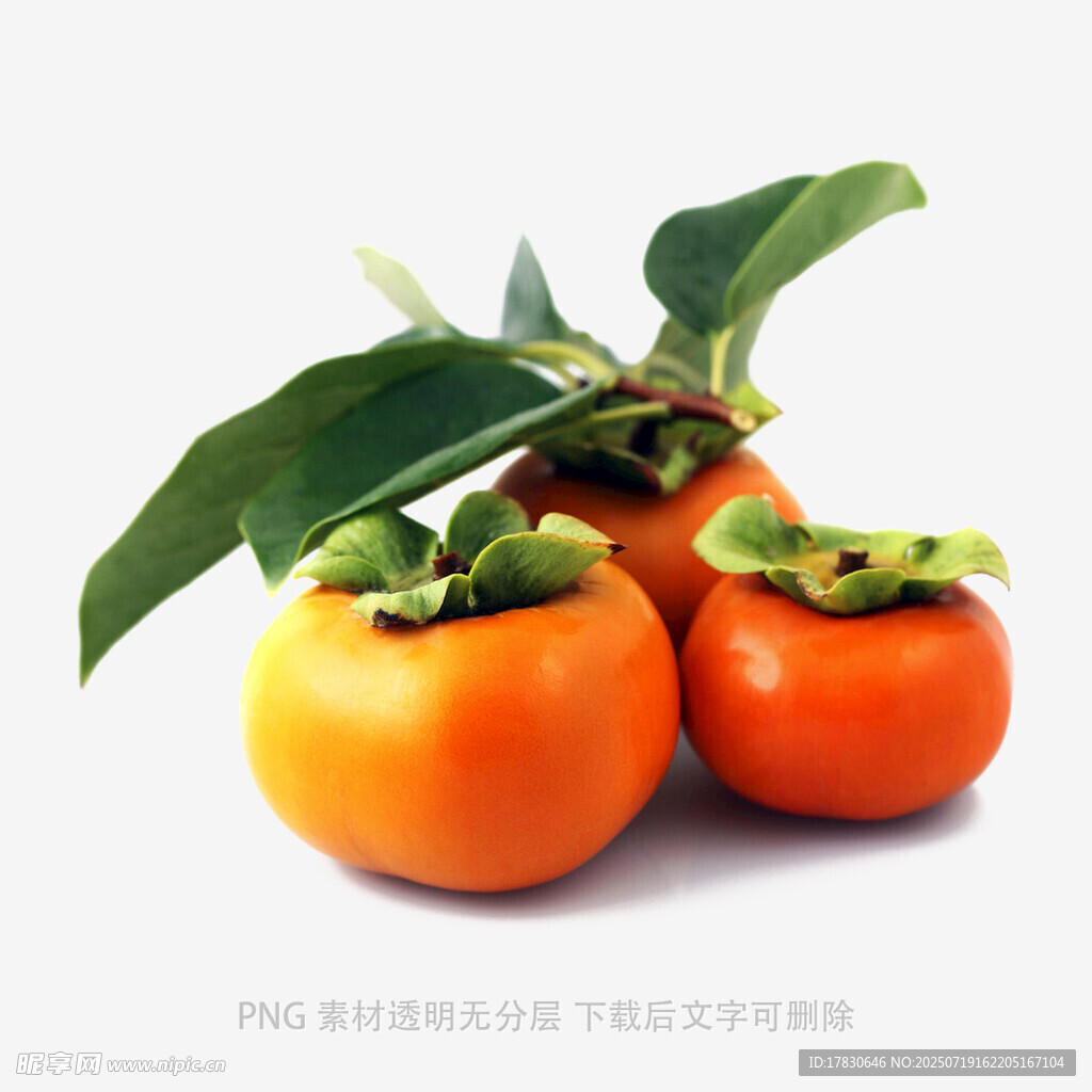 新鲜柿子带叶展示