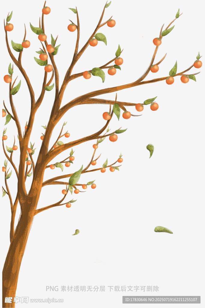 春日繁花树枝插画