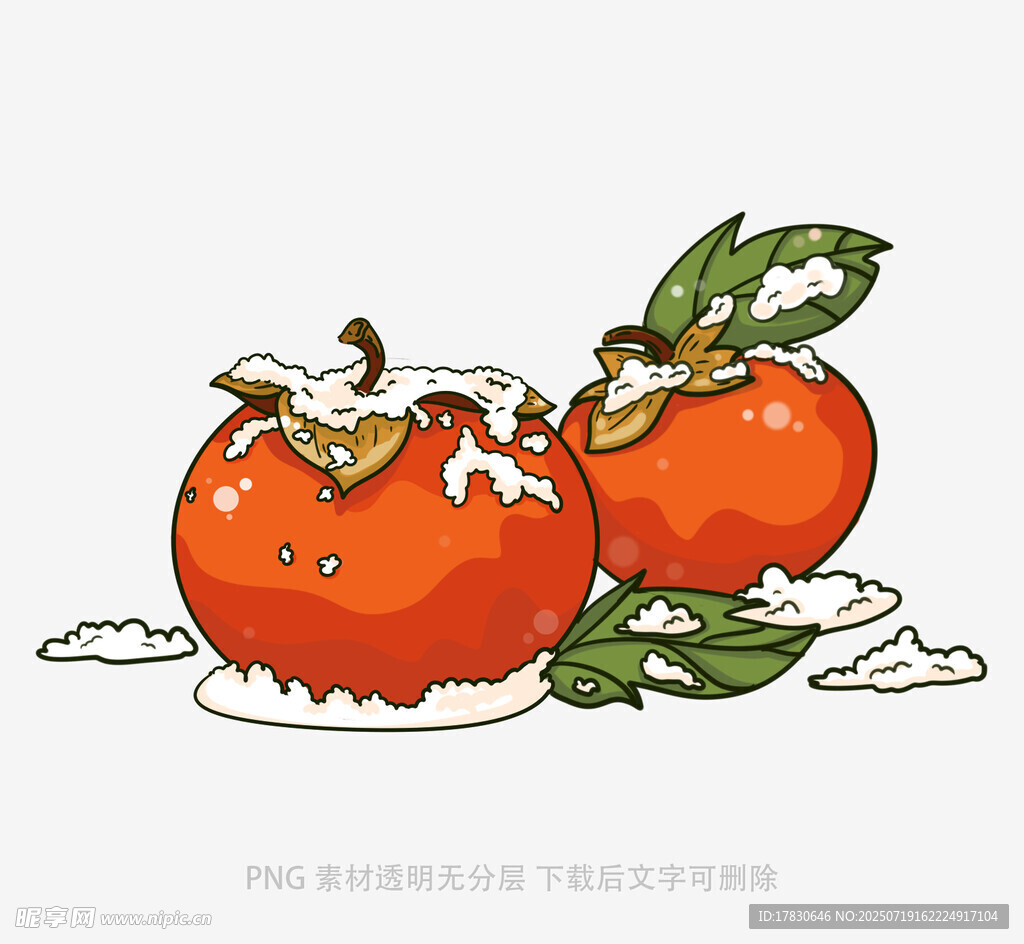 雪覆双柿图