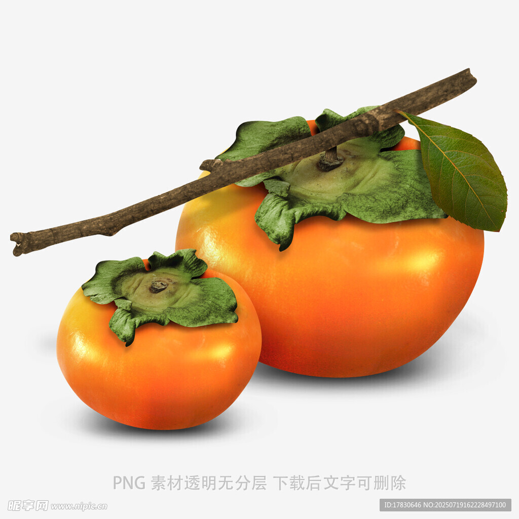 两个带枝带叶的新鲜柿子