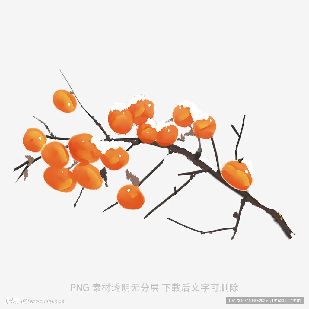 柿子