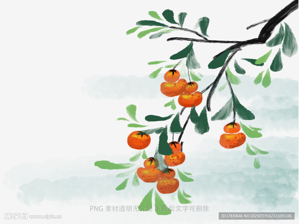 水墨风枝头橙果插画