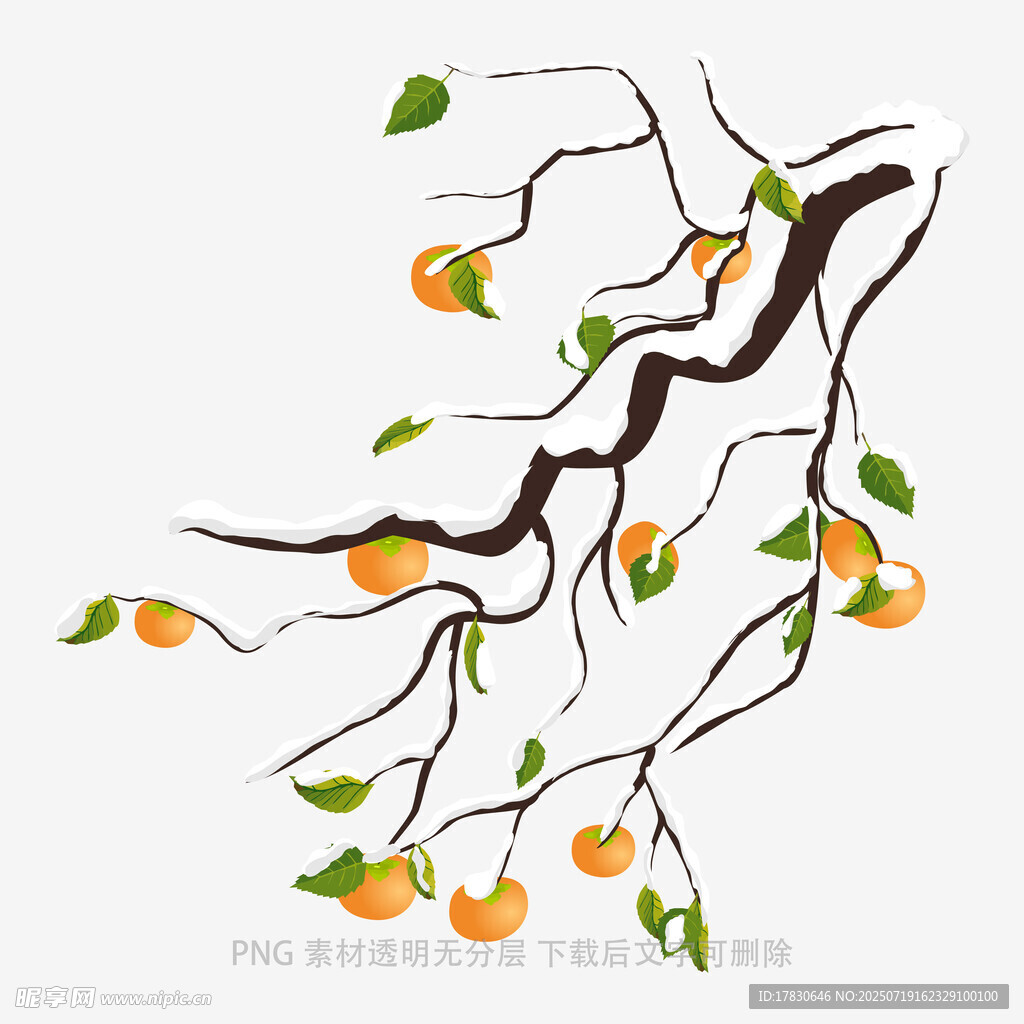枝头硕果累累的清新插画