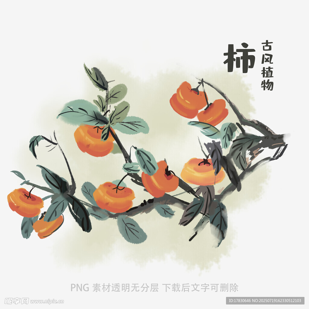 水墨绘枝头柿子图
