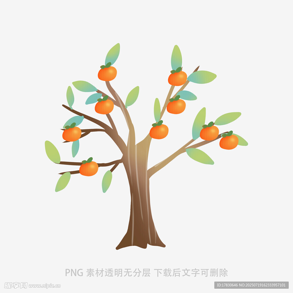 手绘橙色果实树木插画