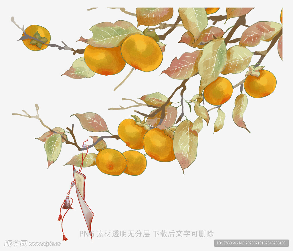 柿子