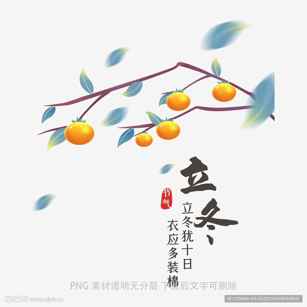 立秋时节枝头柿子图