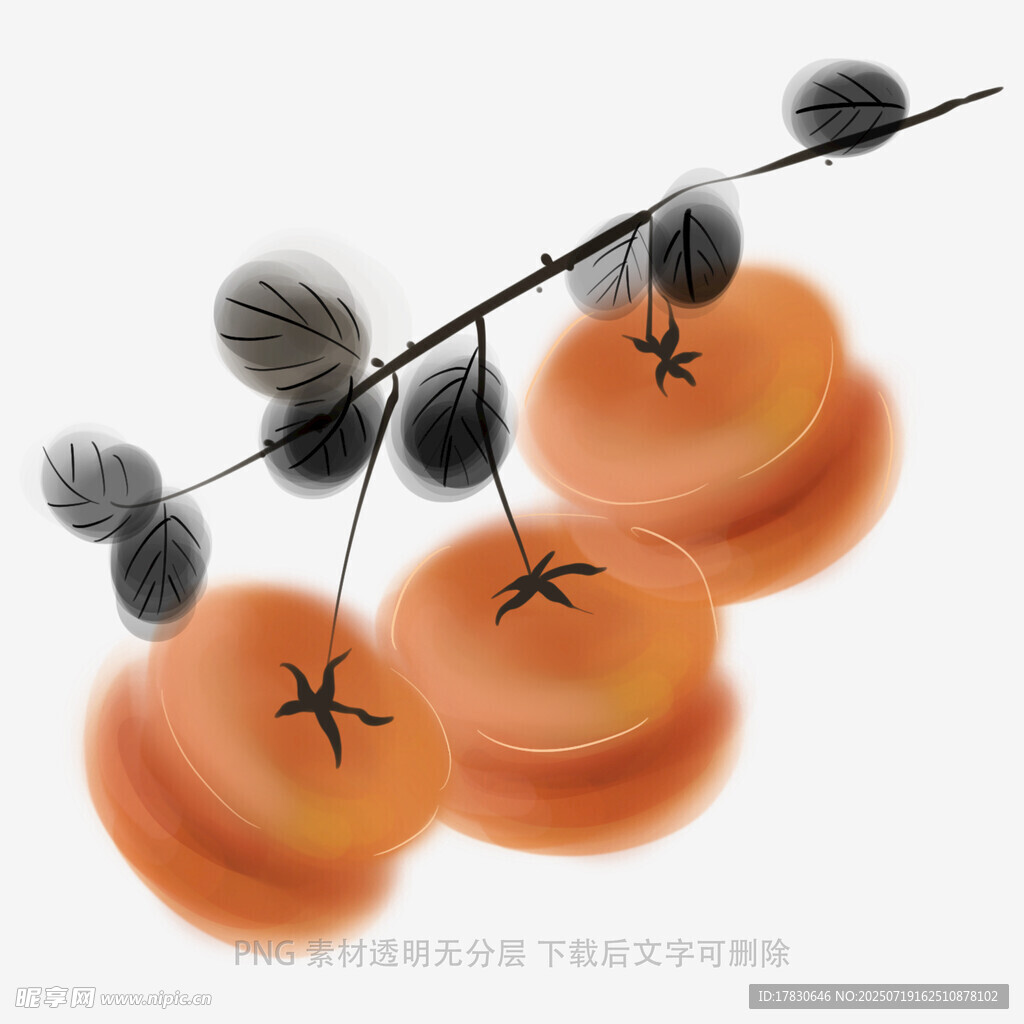 水墨风枝头柿子图