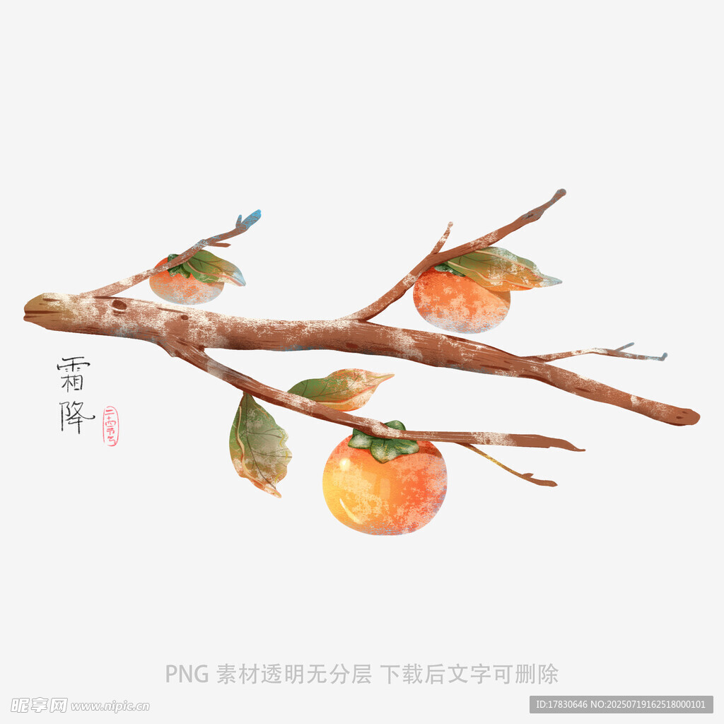 水墨枝头柿子与飞鸟