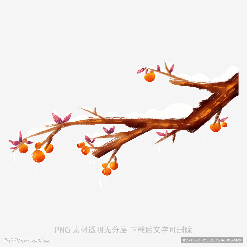 手绘枝头橙果与飞鸟