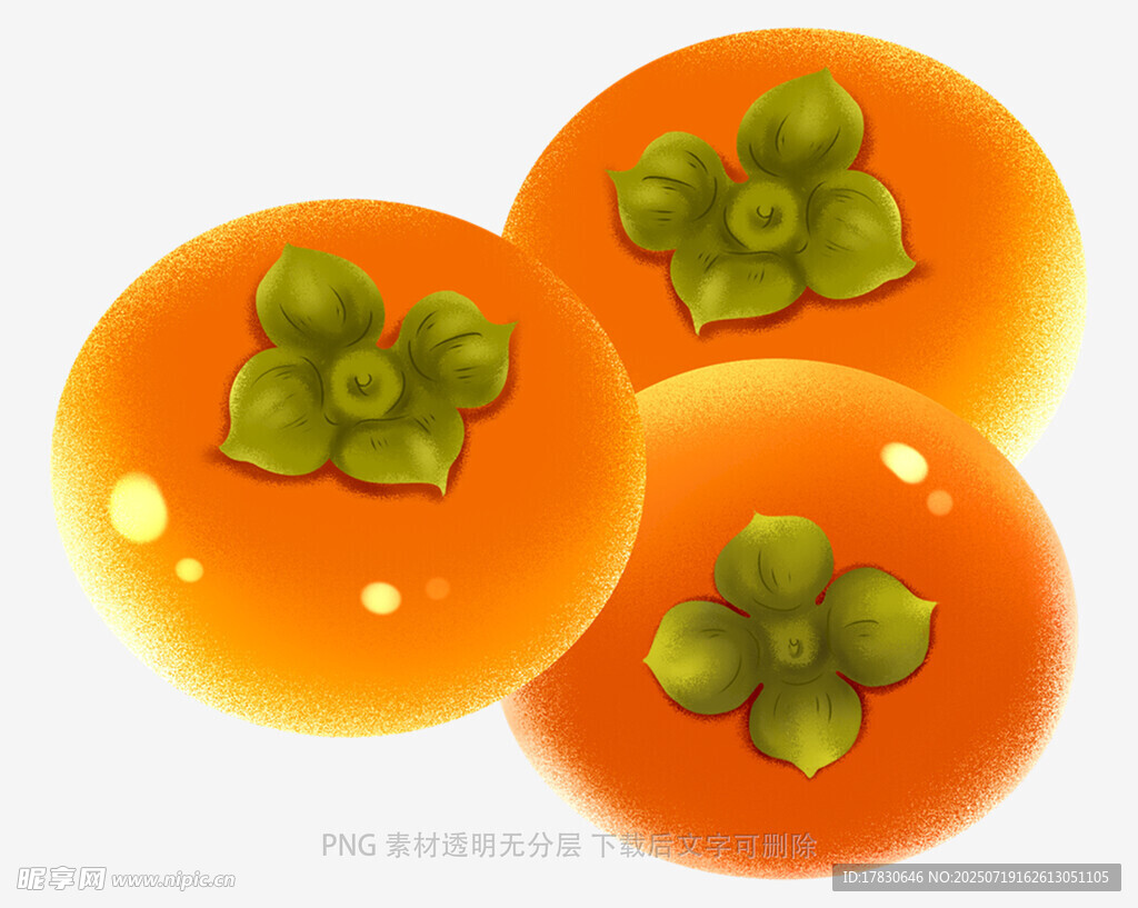三个鲜橙柿子插画