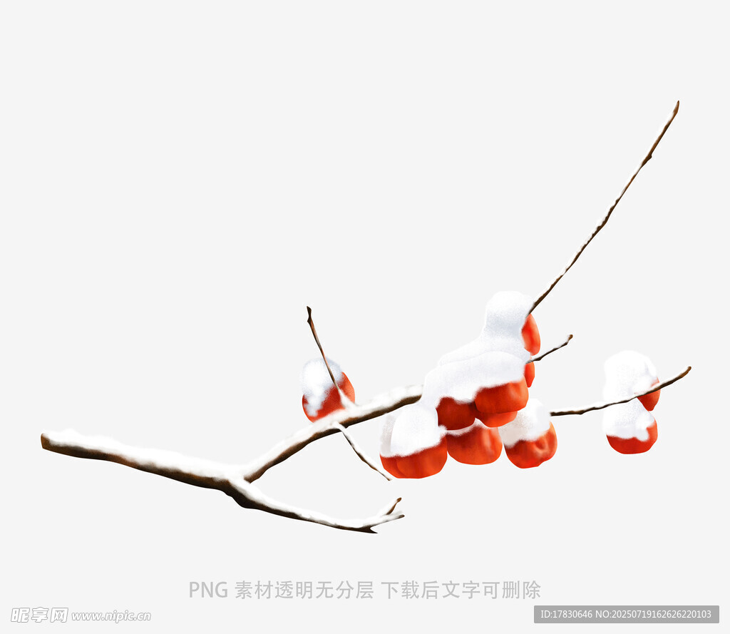 雪中红果枝头俏