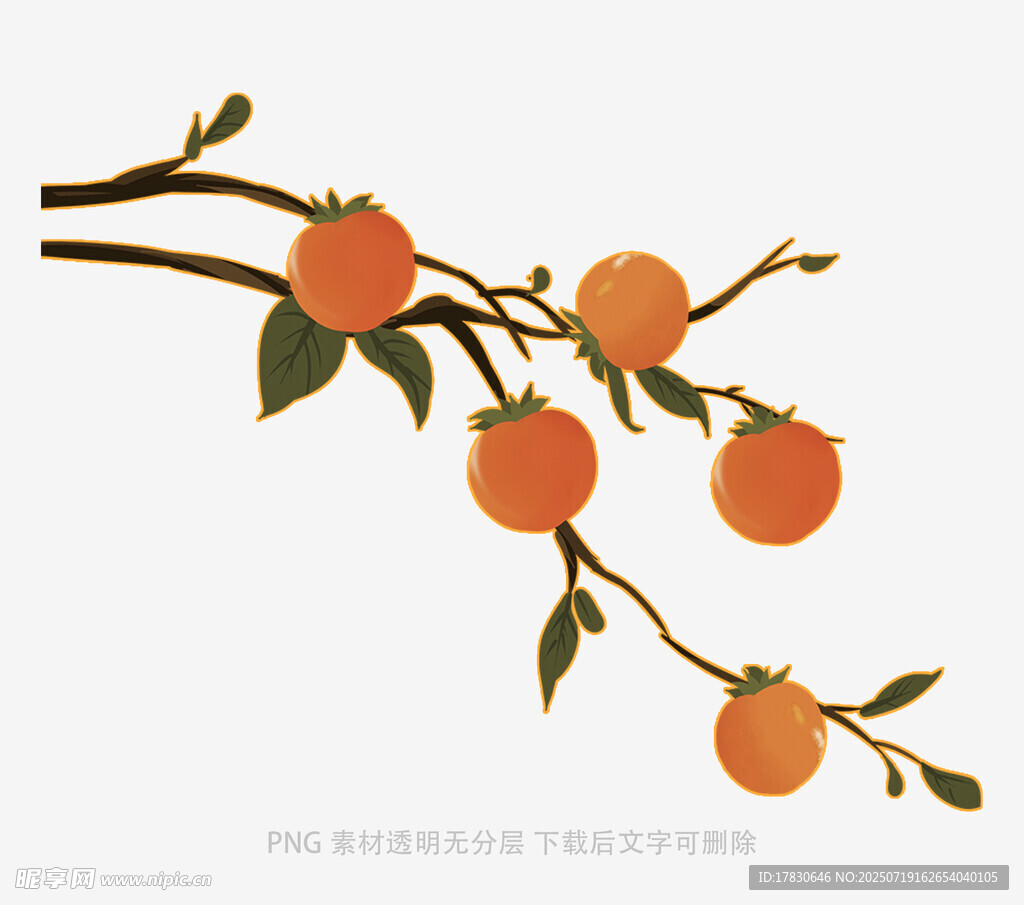 柿子