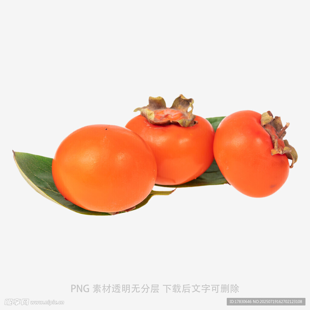 新鲜柿子带叶展示
