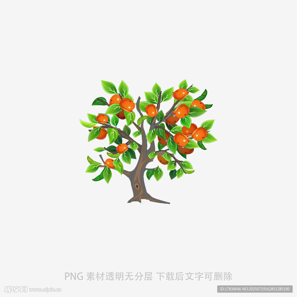 手绘硕果累累的橙色果树