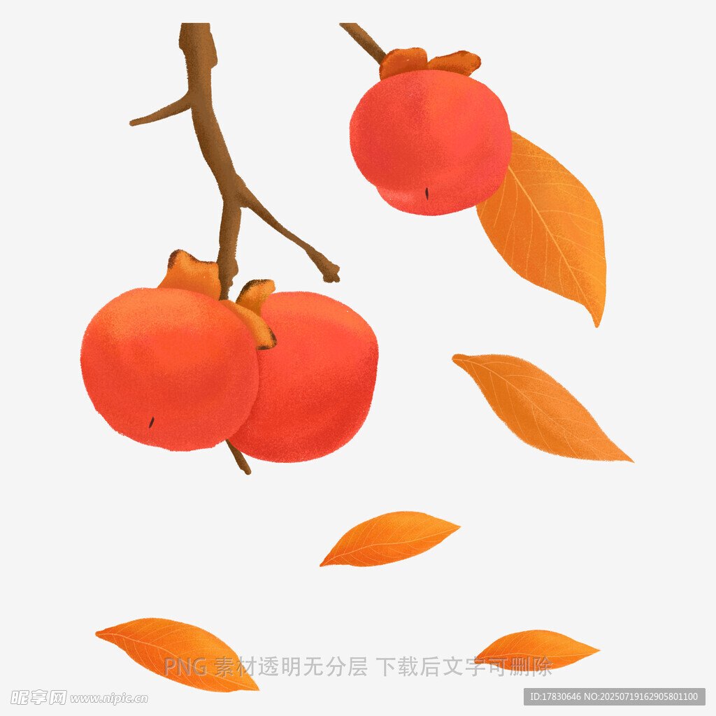 枝头柿子与飘落秋叶
