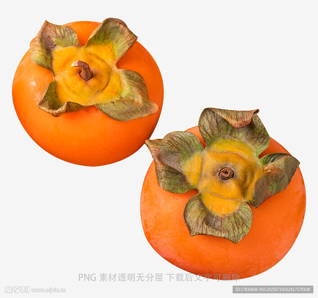 两个饱满的新鲜柿子