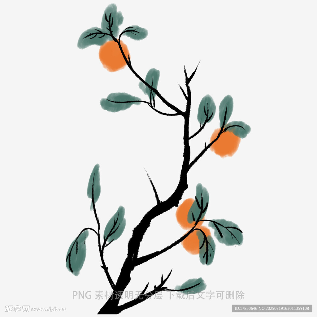 水墨风枝头橙柿插画
