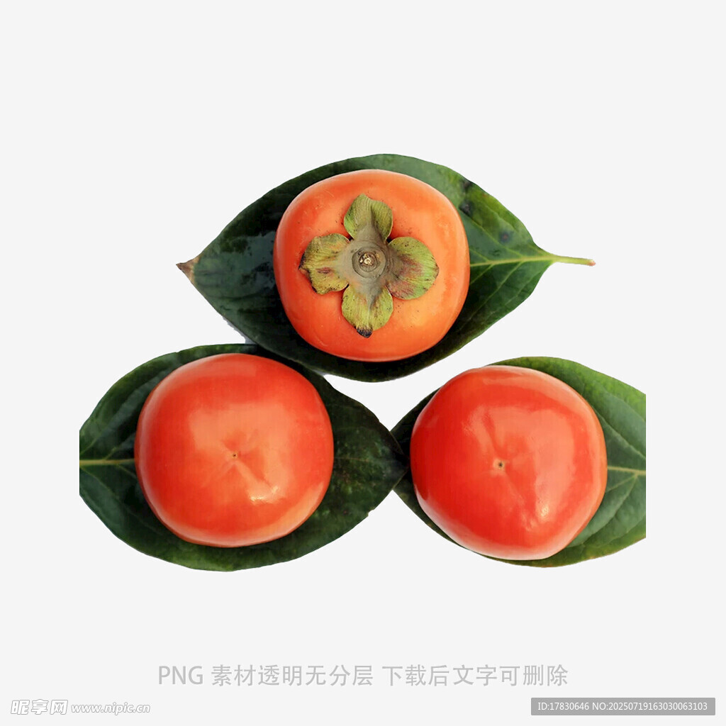 三个柿子配绿叶的静物图