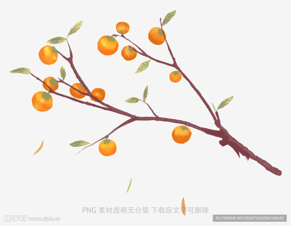 柿子