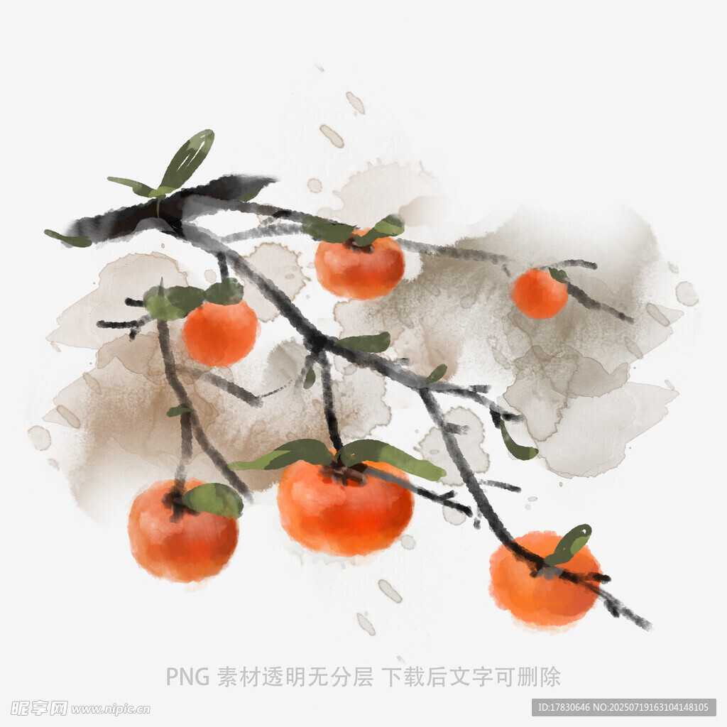 水墨风枝头柿子图