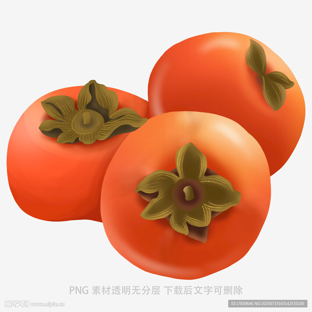 三个鲜橙柿子插画