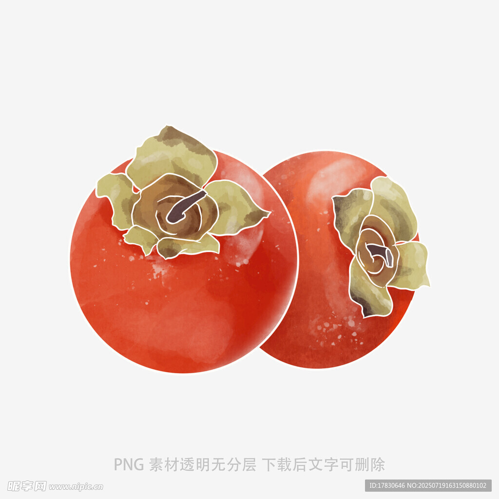 两个鲜红柿子特写