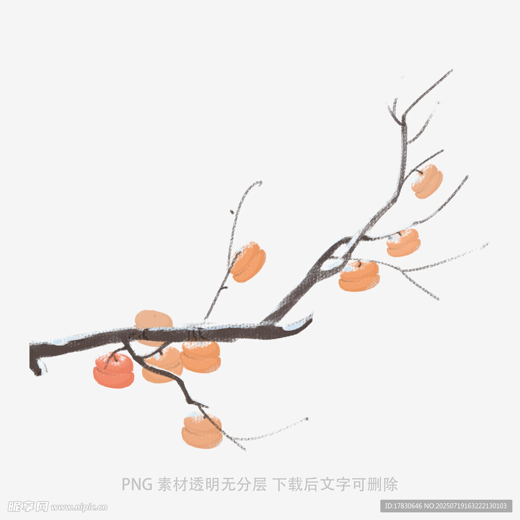水墨风枝头柿子插画