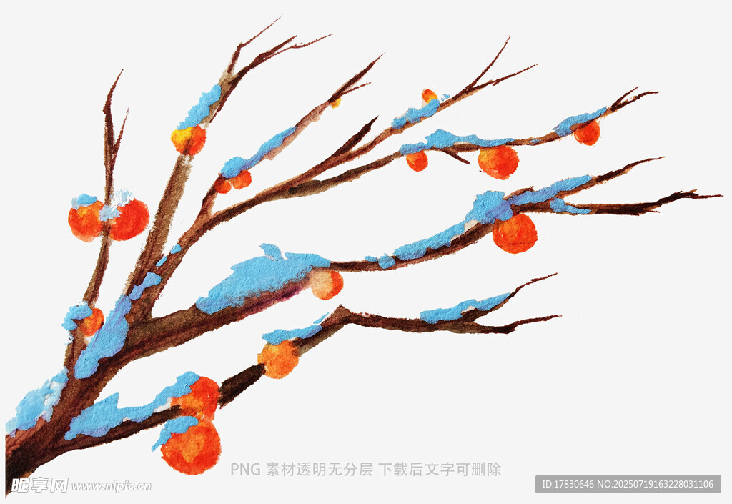 雪覆枝头柿子俏