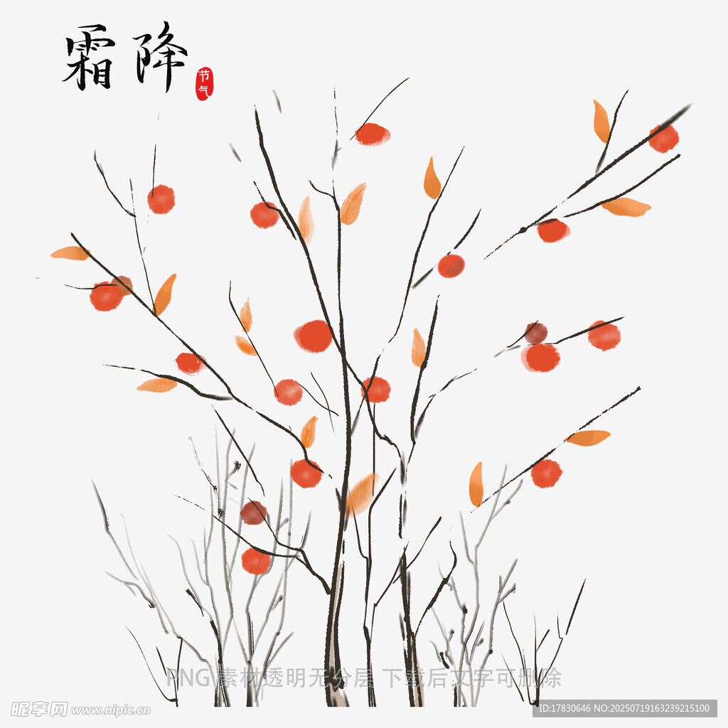 霜柿图
