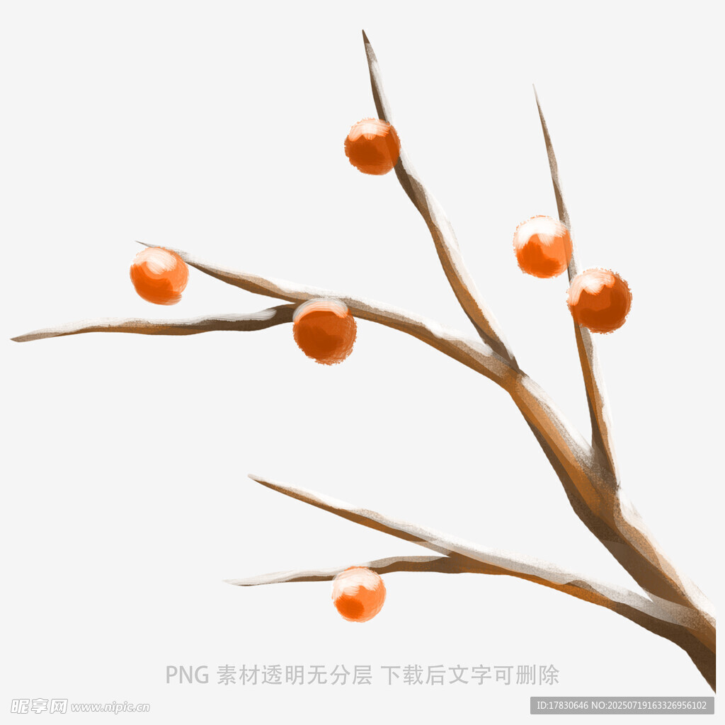 柿子