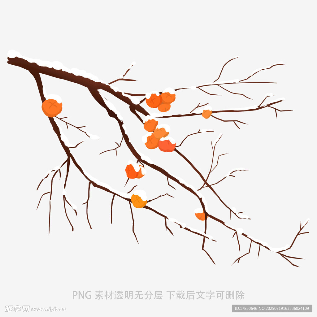 柿子
