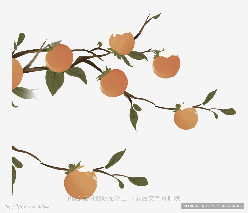 枝头硕果累累的清新插画