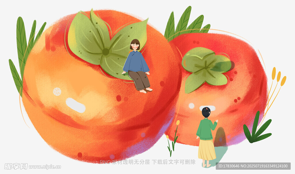 插画中的柿子与小人