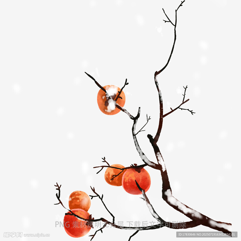 雪中柿子枝头鸟儿相伴