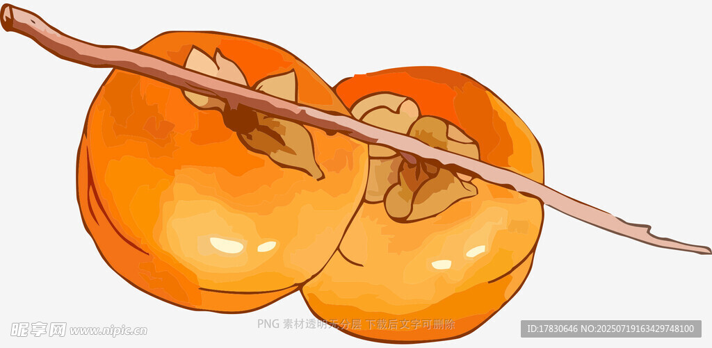 枝头双柿图