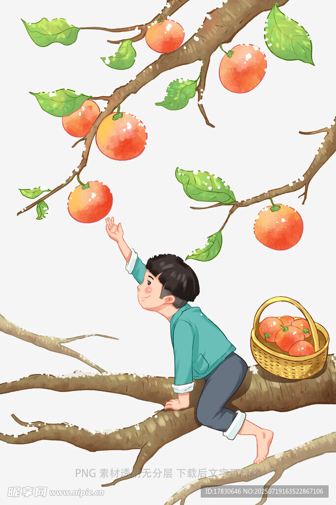 孩童树上摘果欢乐场景