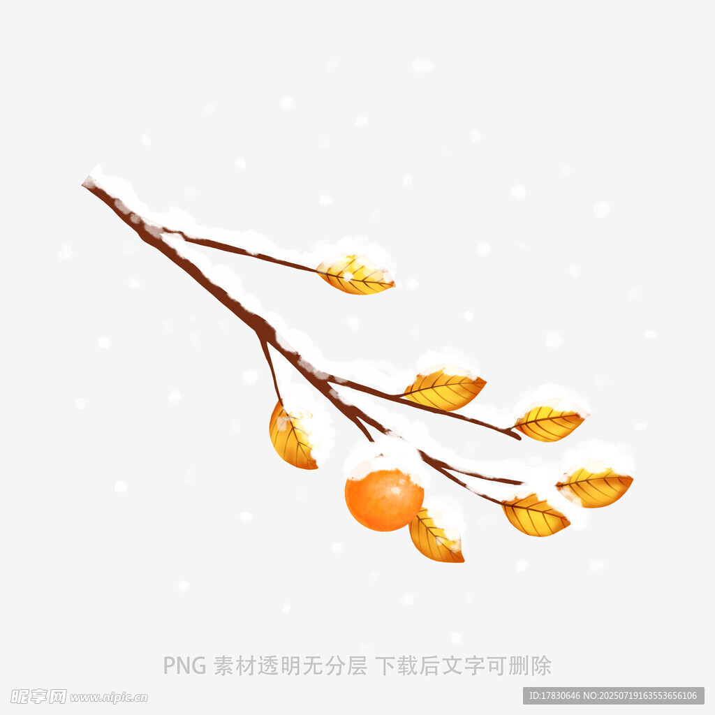 秋日枝头黄叶与果实