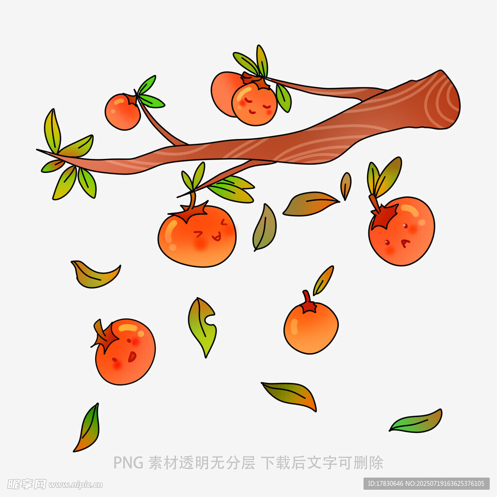 枝头橘果伴绿叶