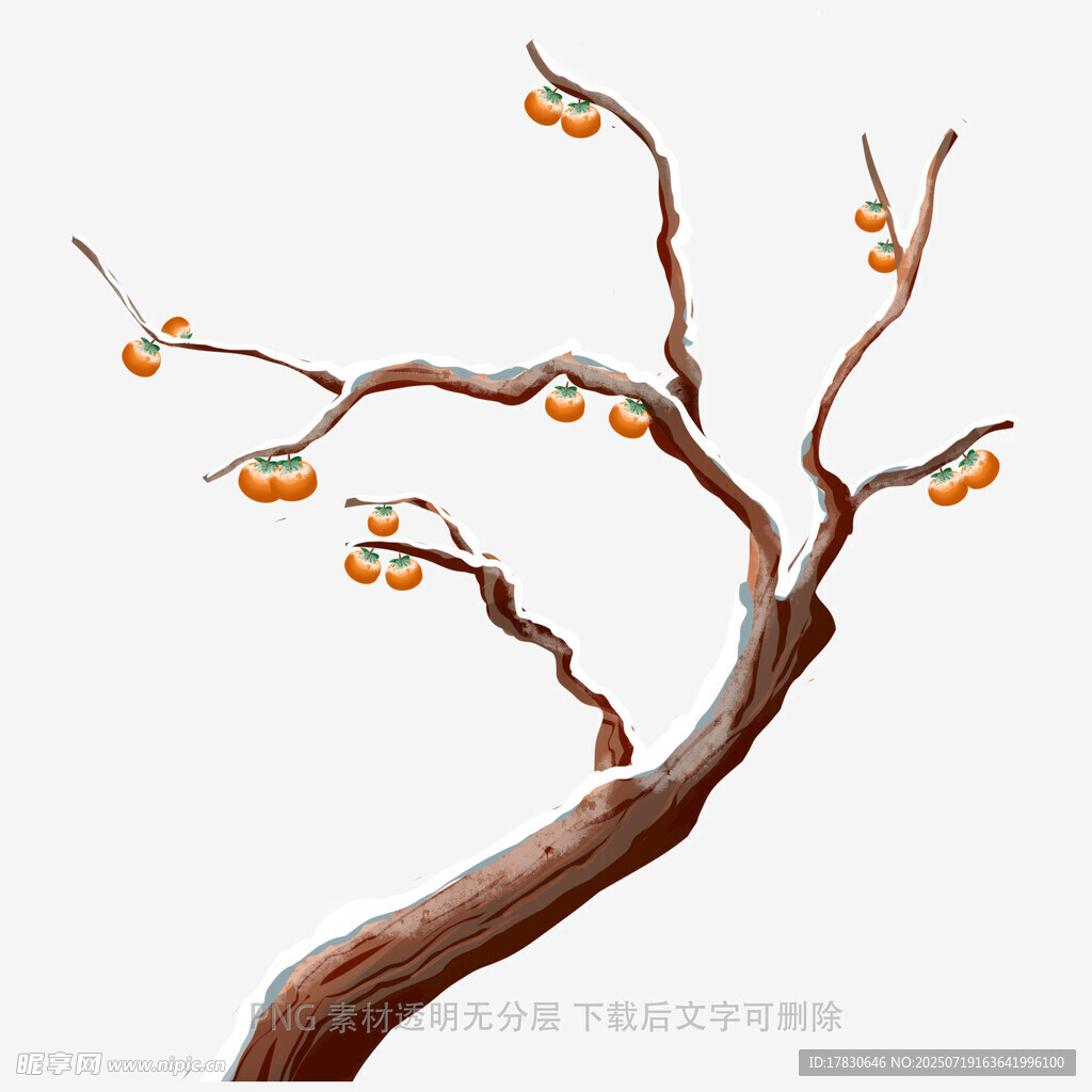 水墨风枝头挂果柿子图