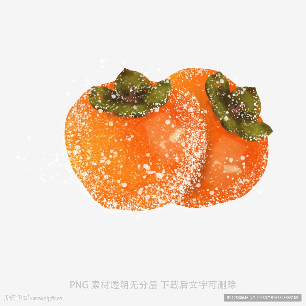两个覆霜柿子插画