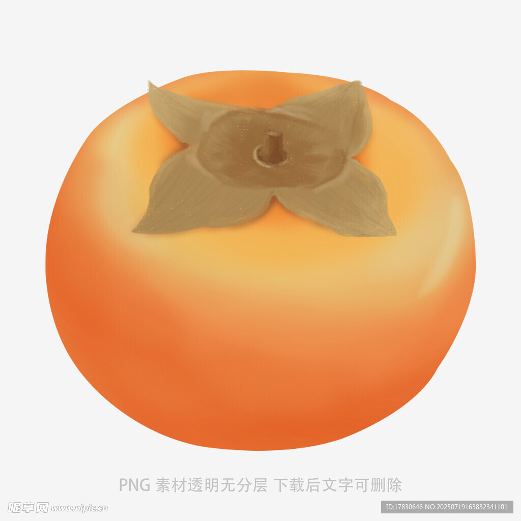 橙色柿子插画
