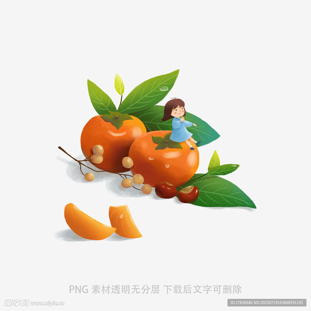 女孩与甜橙的清新插画