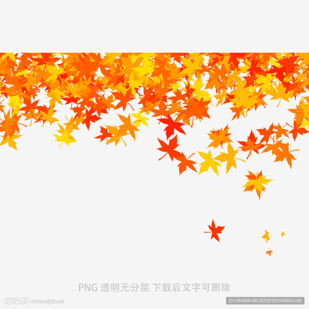 秋日枫叶飘落背景图